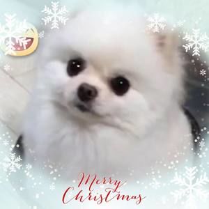 Meet your Posher, Gary